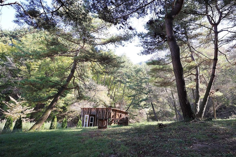 숲속행성 시설 사진 6