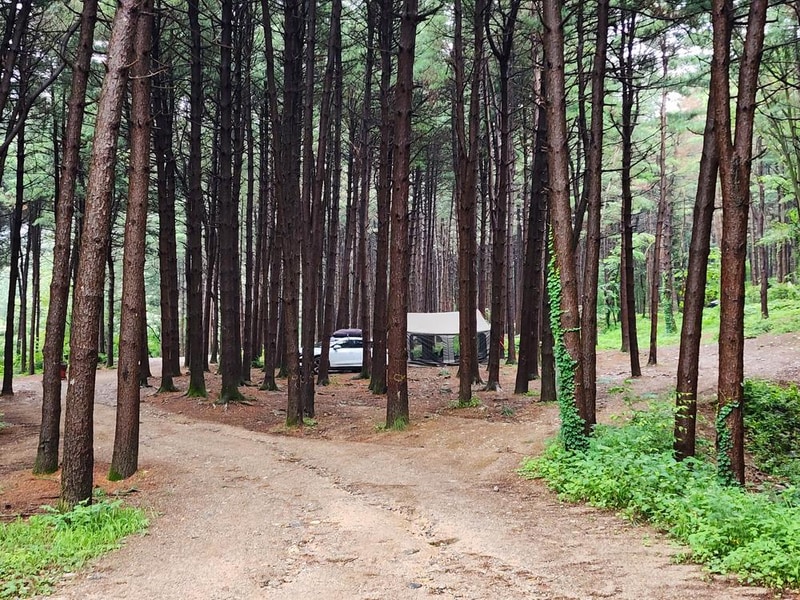 팔현야영장 시설 사진 19