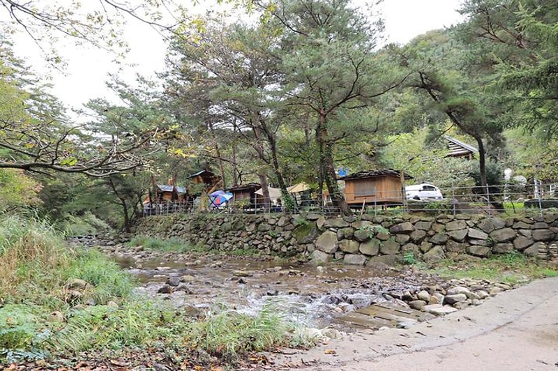 트리하우스계곡야영장 대표 사진