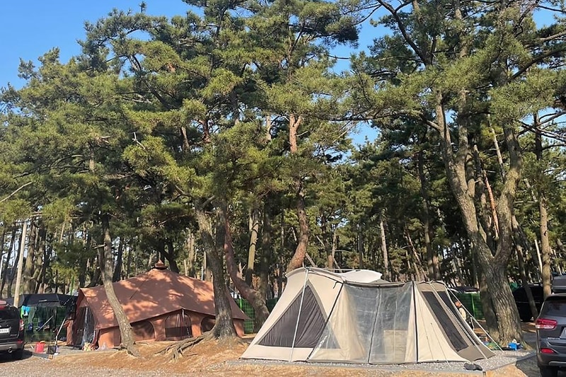 몽산포감성캠핑장 시설 사진 1