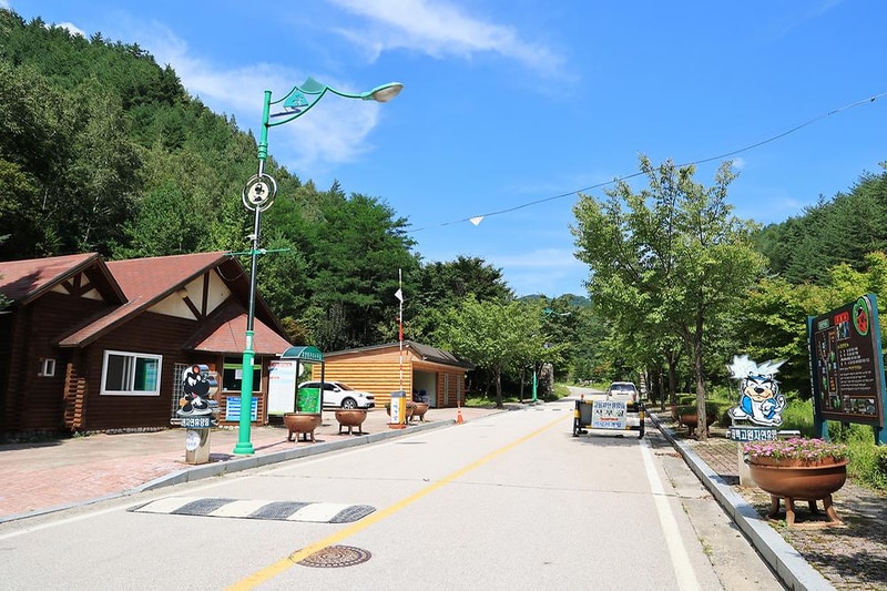 태백고원자연휴양림 자동차야영장 시설 사진 25