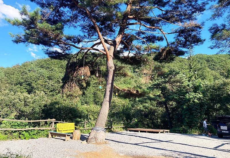 두미리관광농원 시설 사진 2