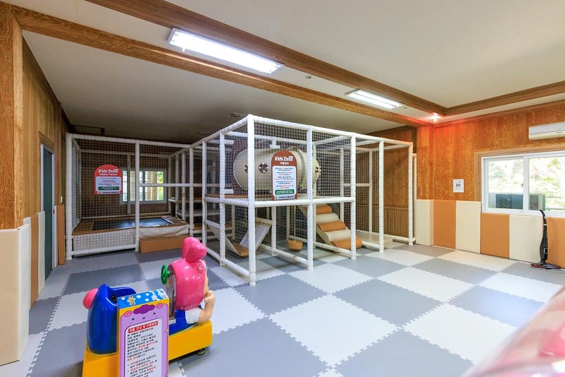 심천치유자연휴양림야영장 시설 사진 7