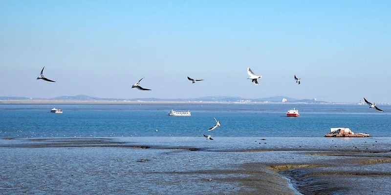 고창갯벌오토캠핑&글램핑장 시설 사진 32