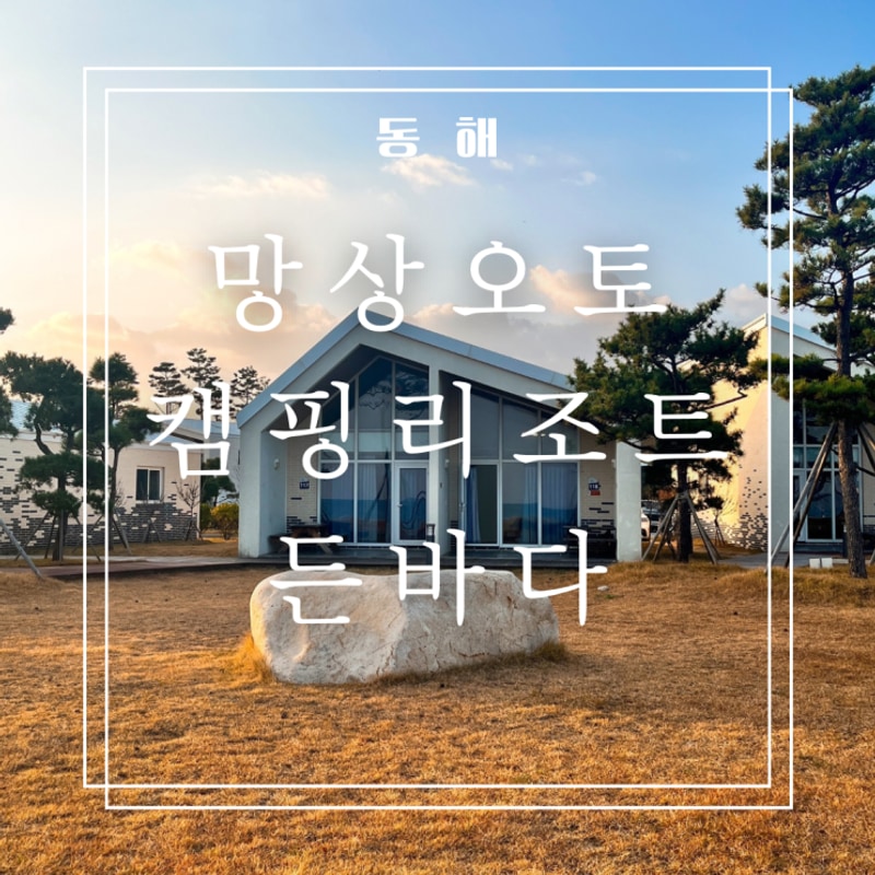 동해 망상오토캠핑리조트 든바다 117호 강원도 오션뷰 가성비...