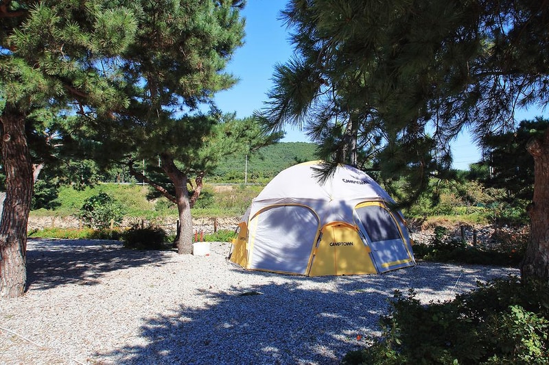 늘푸른캠핑장 시설 사진 2