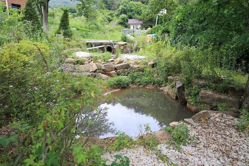 힐링인더 포레스트 시설 사진 14