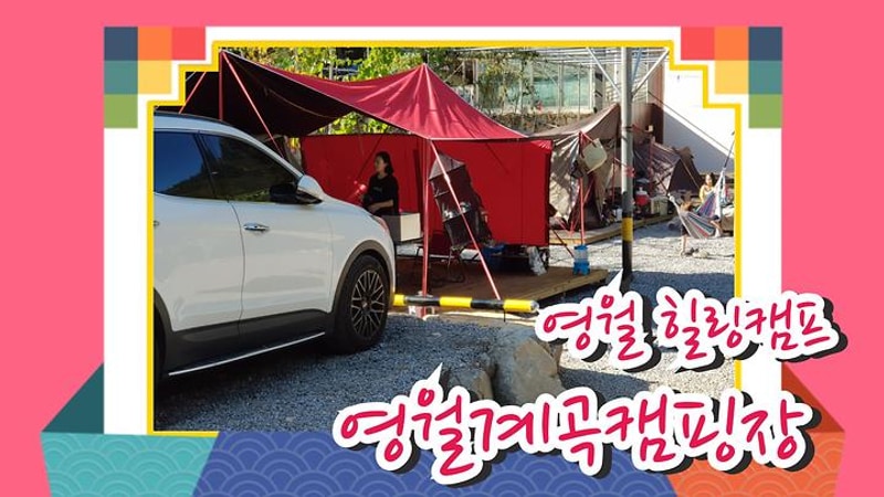 영월아트앤캠프장 대표 사진