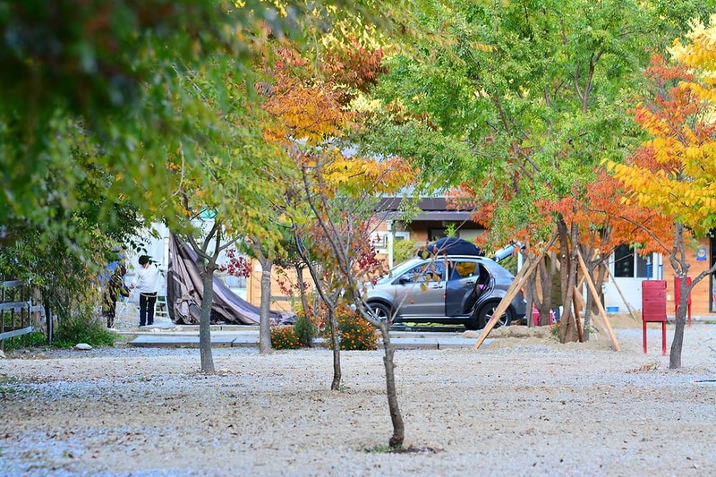 가평 물골숲 계곡 캠핑장 시설 사진 19