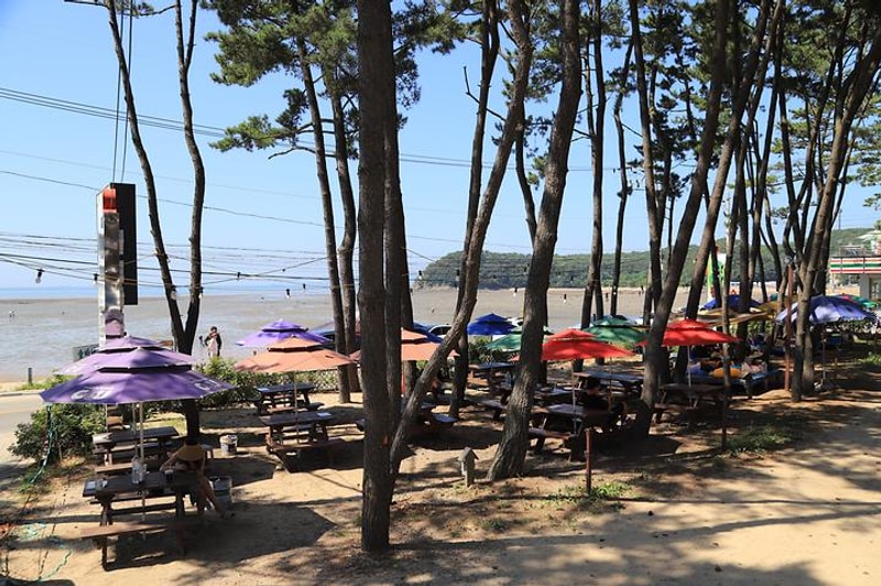 솔바다 캠핑장 대표 사진