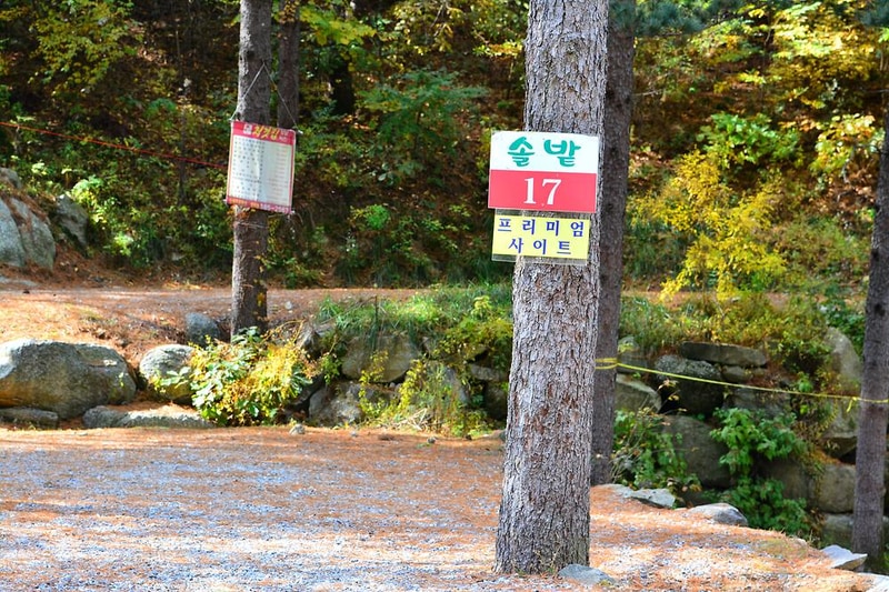 솔밭펜션캠핑장 시설 사진 10