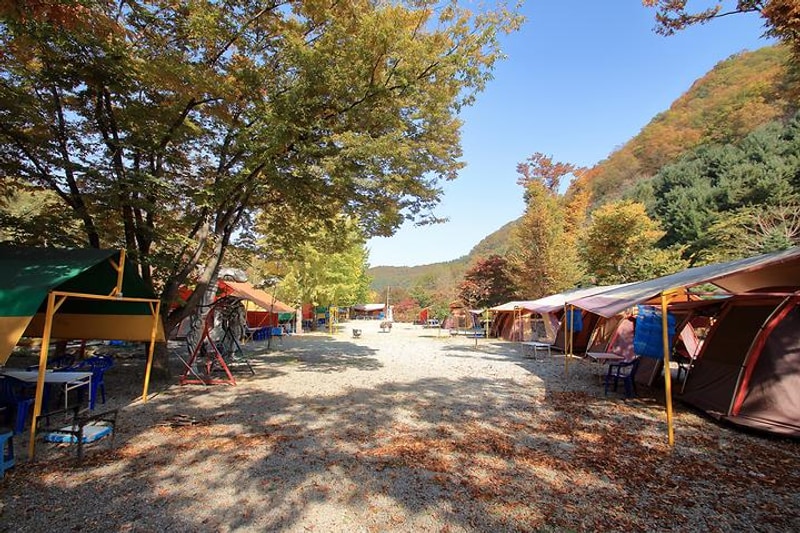 이지캠핑장 대표 사진