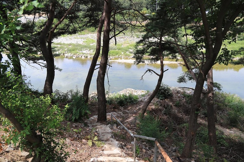 내린천솔밭힐링캠핑장 시설 사진 8