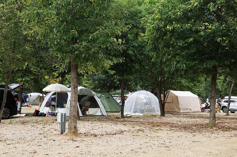 칠봉두루뭉캠핑장 시설 사진 13