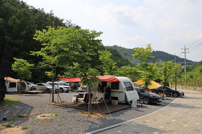 펫힐링 달빛동물원 캠핑장 시설 사진 22