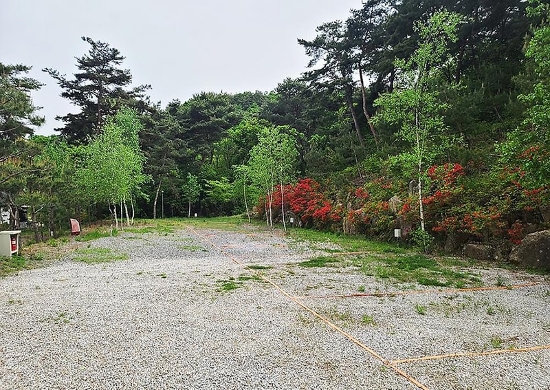 명봉산솔밭관광농원오토캠핑장 시설 사진 1