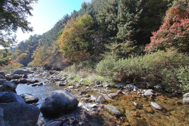 묘솔 시설 사진 7
