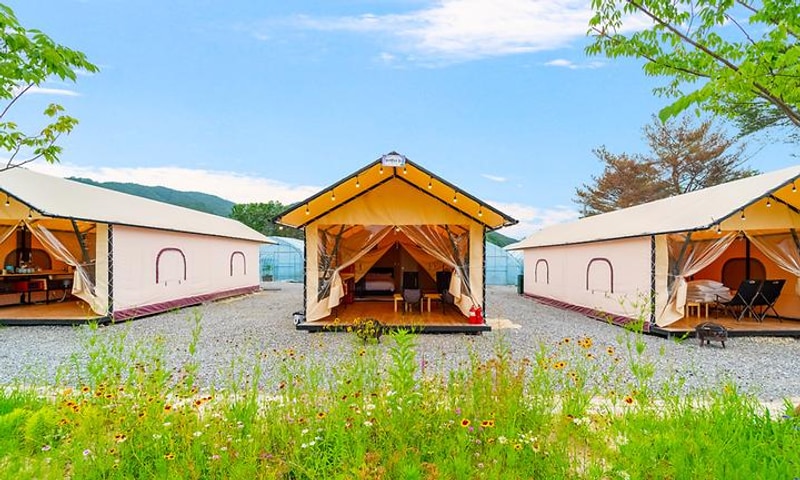 (주)더그린포천 농업회사법인(민트글램핑) 대표 사진