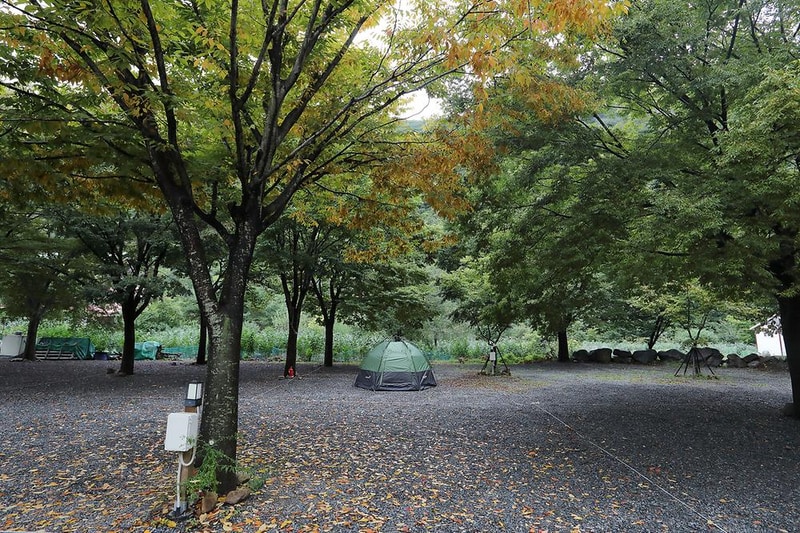 감이야기 캠핑장 시설 사진 6