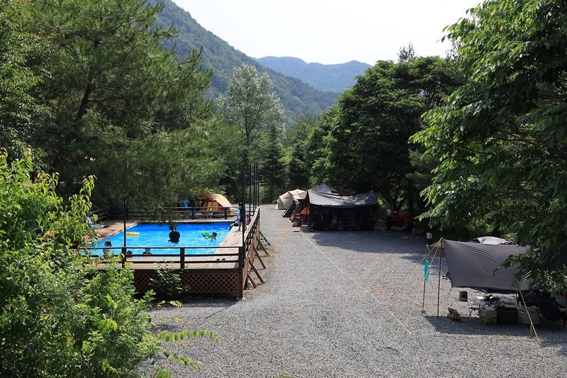 월드니스 시설 사진 8