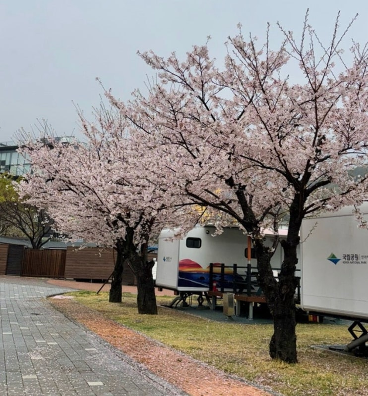 거제 학동자동차야영장 아이와 차박 캠핑 후기, 놀이터&자전거...