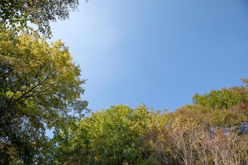 깊이울 달빛 캠핑장 시설 사진 8