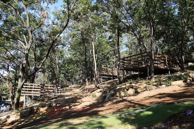 강화도 아침 숲속야영장 시설 사진 20