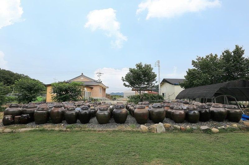 코끼리관광농원 시설 사진 3