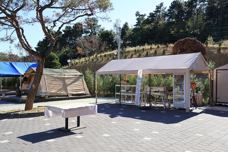 초이휴캠핑장 시설 사진 18