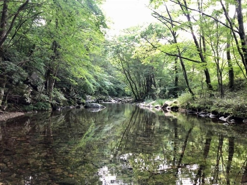 화기애애 단풍 캠핑장 시설 사진 14