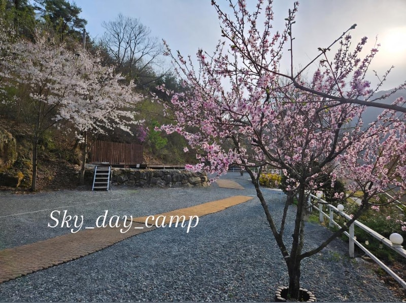 하늘하루자연관광농원 시설 사진 18