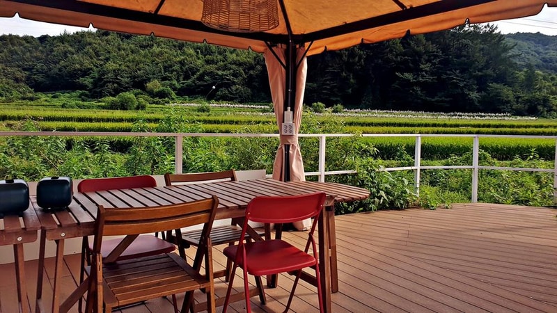 Lazy Joe 시설 사진 19