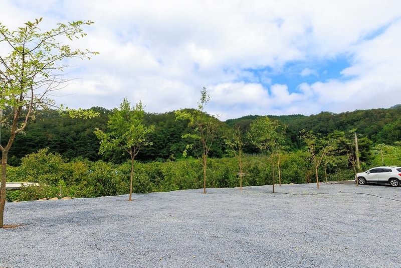 군위 솔밭야영장 시설 사진 5