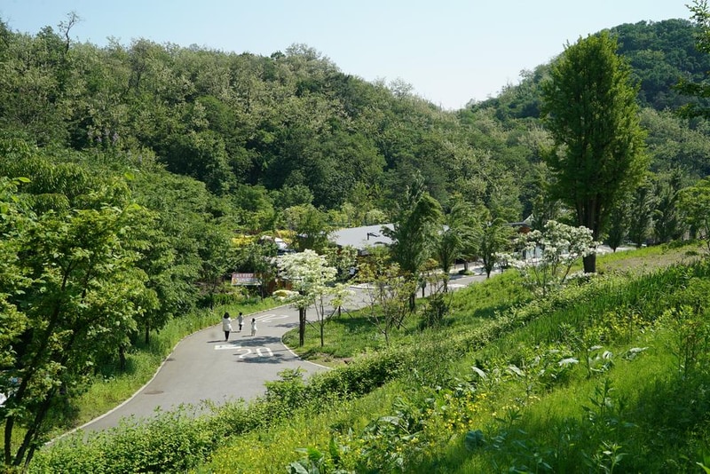 천왕산 가족캠핑장 시설 사진 60