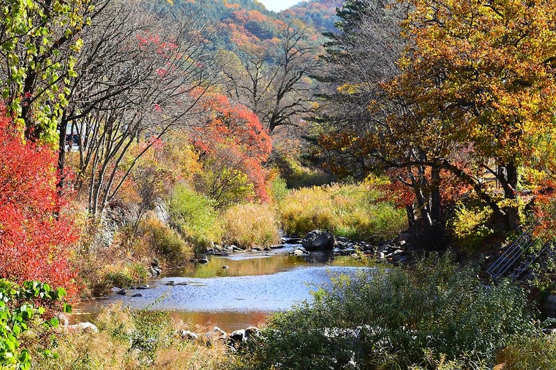 늘푸른쉼터 시설 사진 12