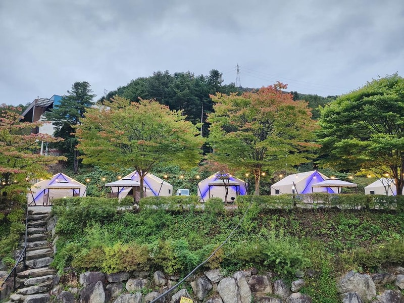 달빛정원글램핑&카라반 시설 사진 17