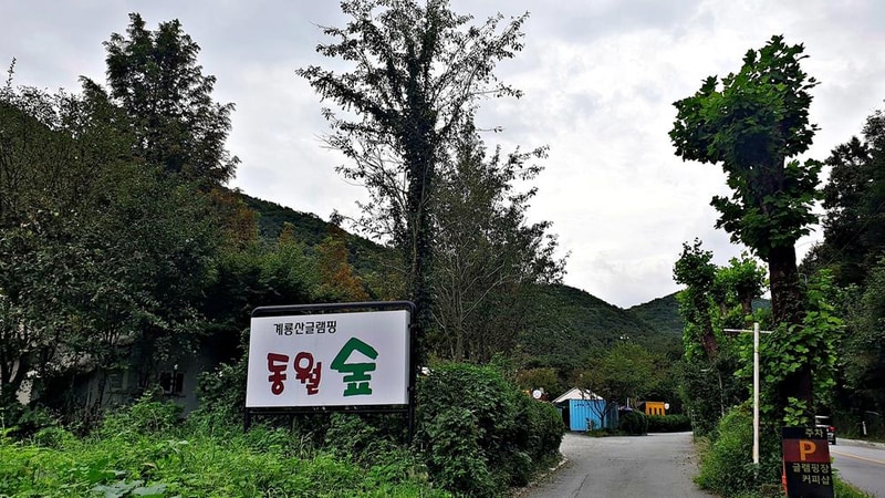 계룡산글램핑 동월숲 시설 사진 31