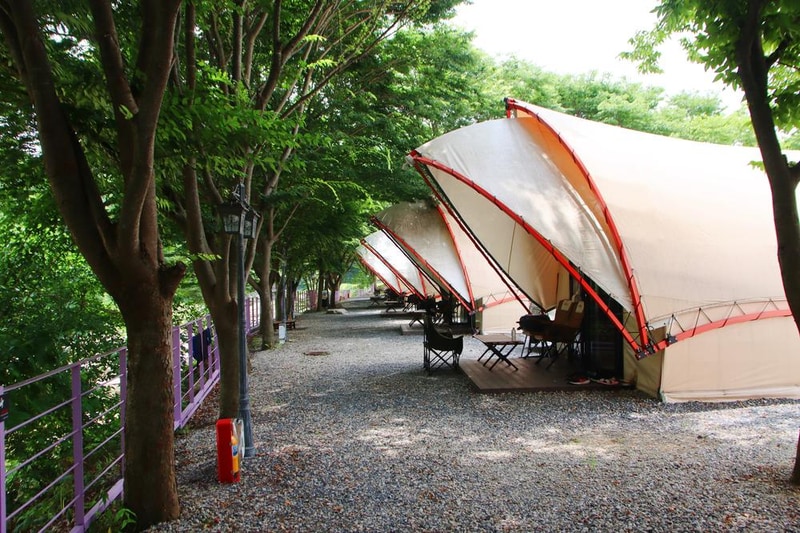 단양 글램핑&펜션 시설 사진 10