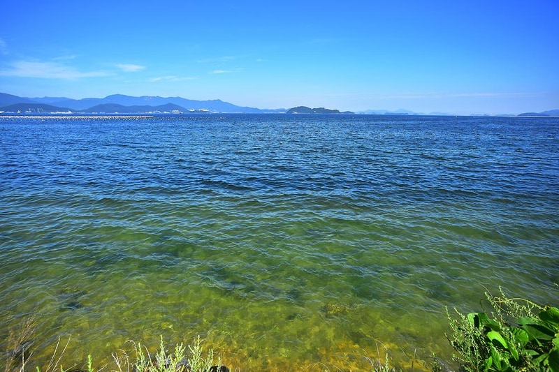 타이거스피드 안녕오토캠핑장 시설 사진 12