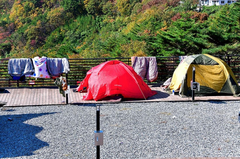 도래재별빛마을캠핑장 시설 사진 2