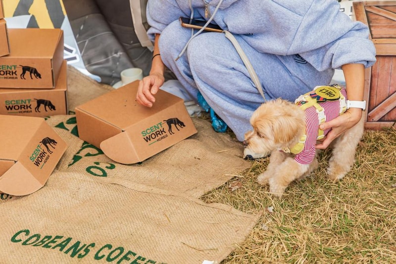 강천섬캠핑장 시설 사진 25