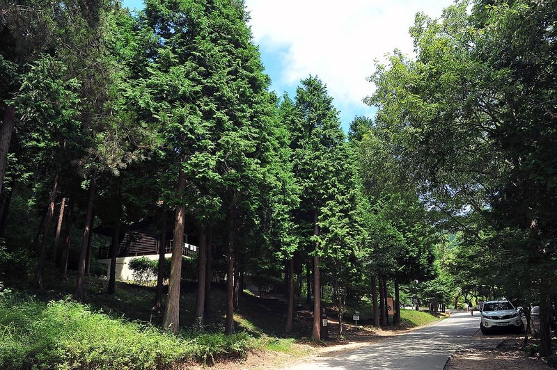 국립남해편백자연휴양림 시설 사진 5