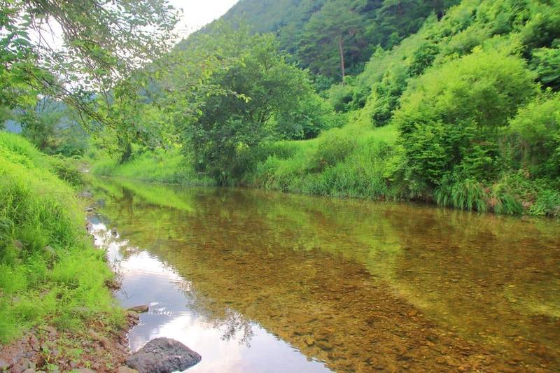 구학희망캠핑장 시설 사진 17