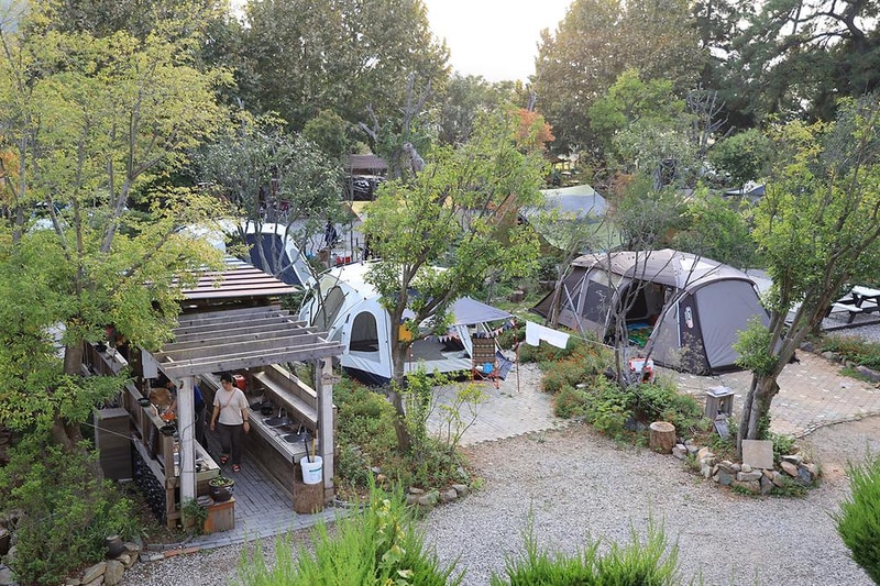 버드하우스 캠핑장 시설 사진 51