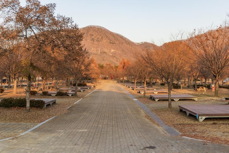 자라섬 캠핑장 시설 사진 23