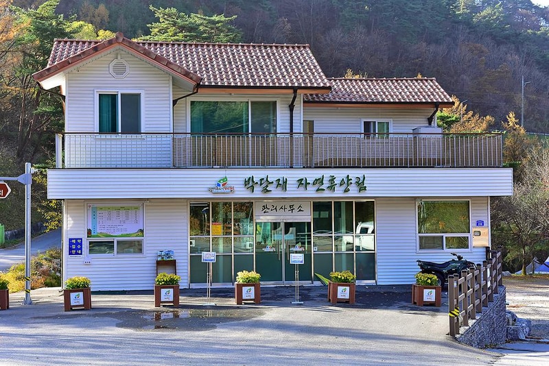 박달재 자연휴양림캠핑장 시설 사진 14