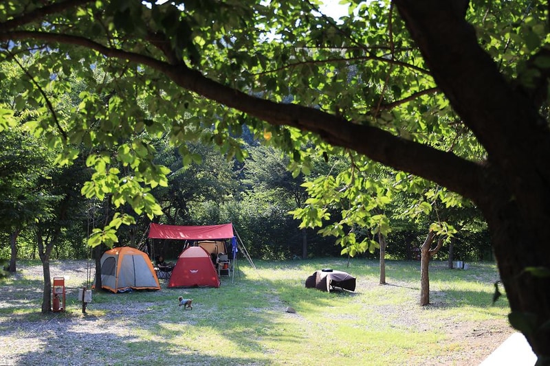 돌산캠핑장 시설 사진 2