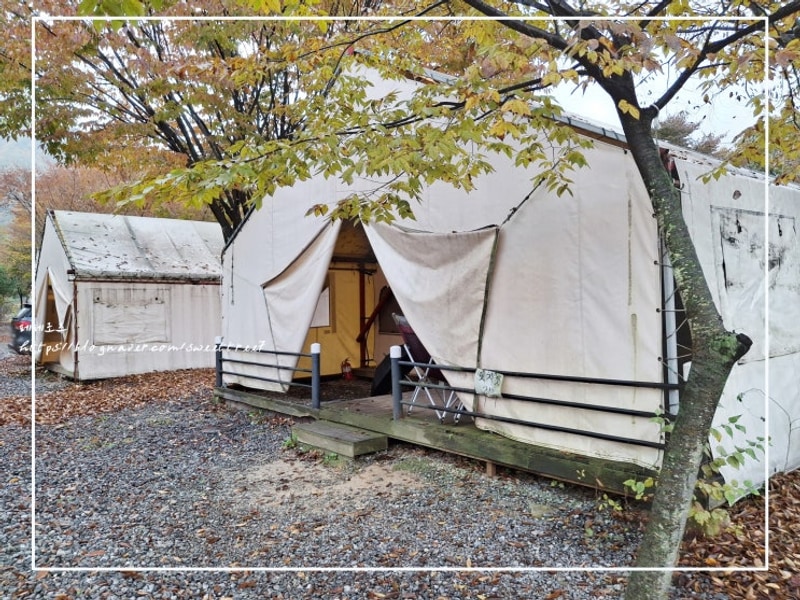 웻자켓 대표 사진