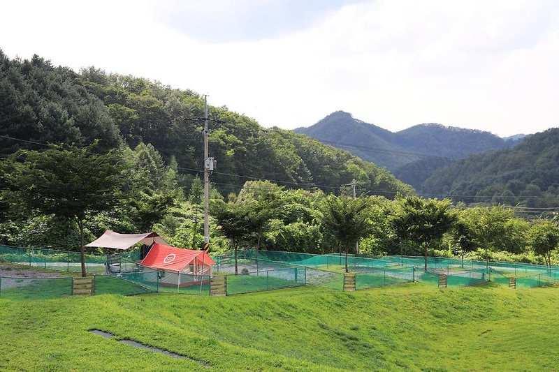 개똥이네캠핑장 시설 사진 11