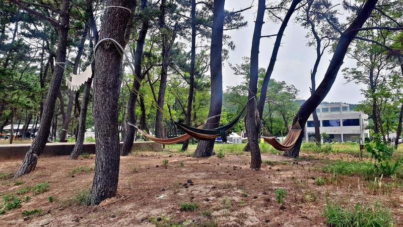 캠프 해놀 시설 사진 13